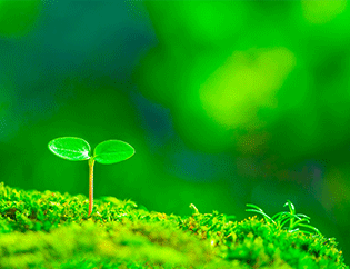 NAKAMURA・AGRI・SCHOLARSHIP基金